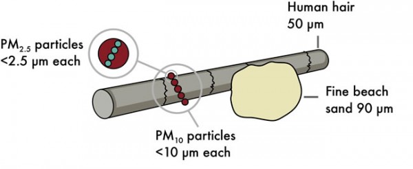Figure 3: Air pollution particle sizes